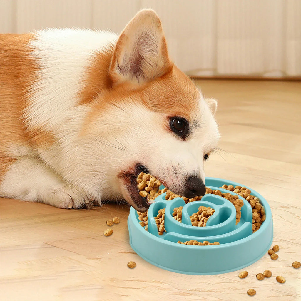 Pet Slow Feeder Bowl — Non-Slip Maze Design for Dogs & Cats