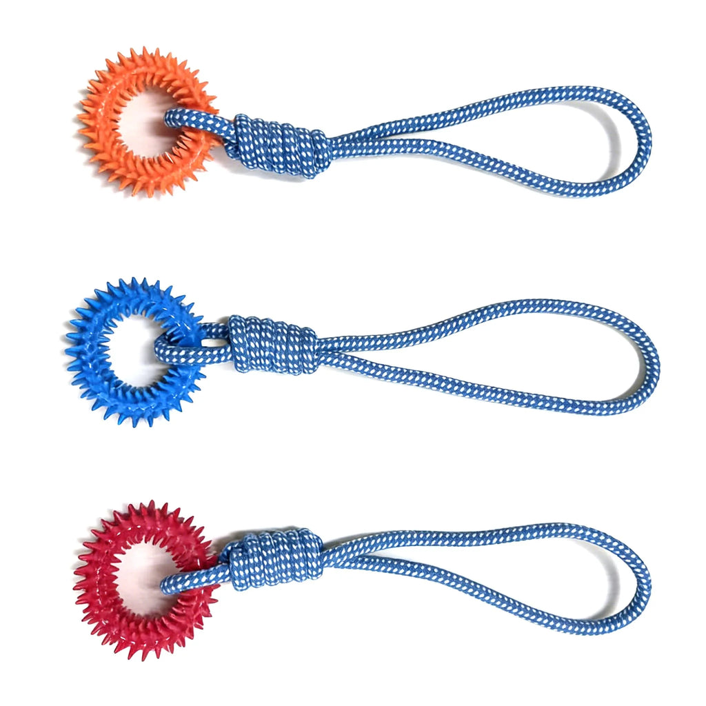 Dog Chew & Tug Toy — Interactive Training Rope Toy for Small & Medium Dogs