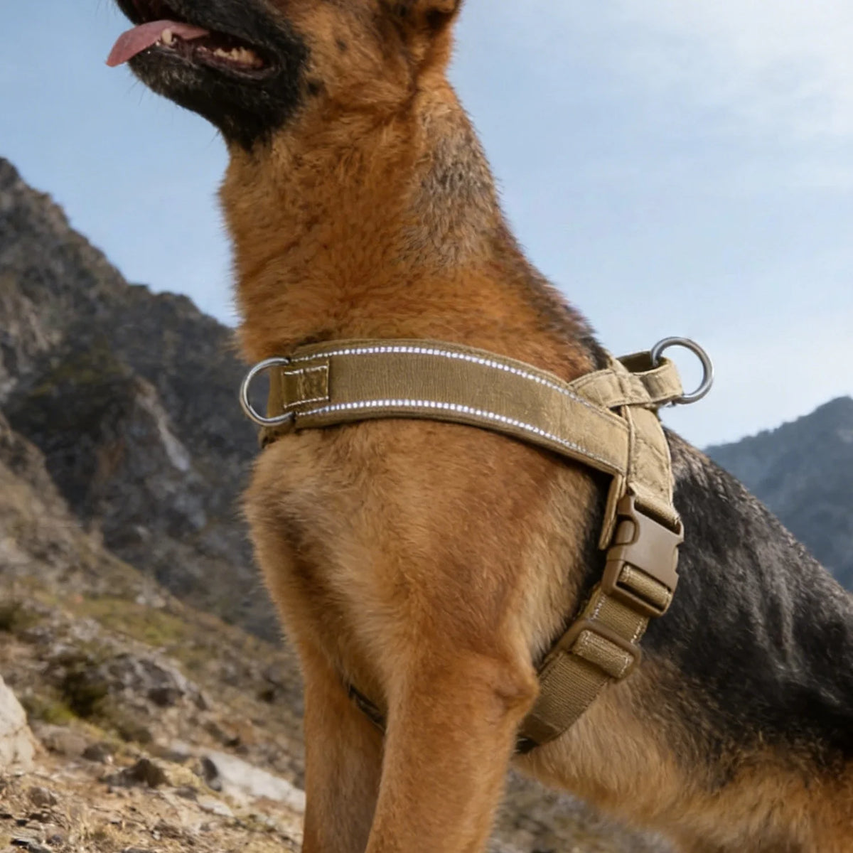 Tactical No-Pull Dog Harness — Heavy-Duty Reflective Vest for Large Breeds (S/M/L/XL)