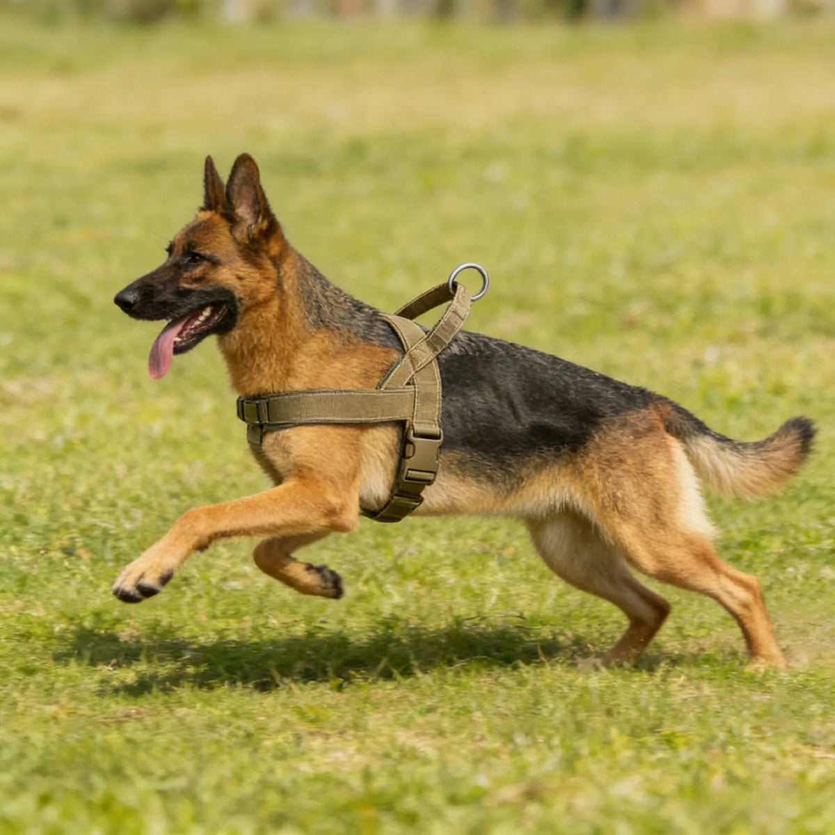 Tactical No-Pull Dog Harness — Heavy-Duty Reflective Vest for Large Breeds (S/M/L/XL)